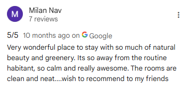 Google Review